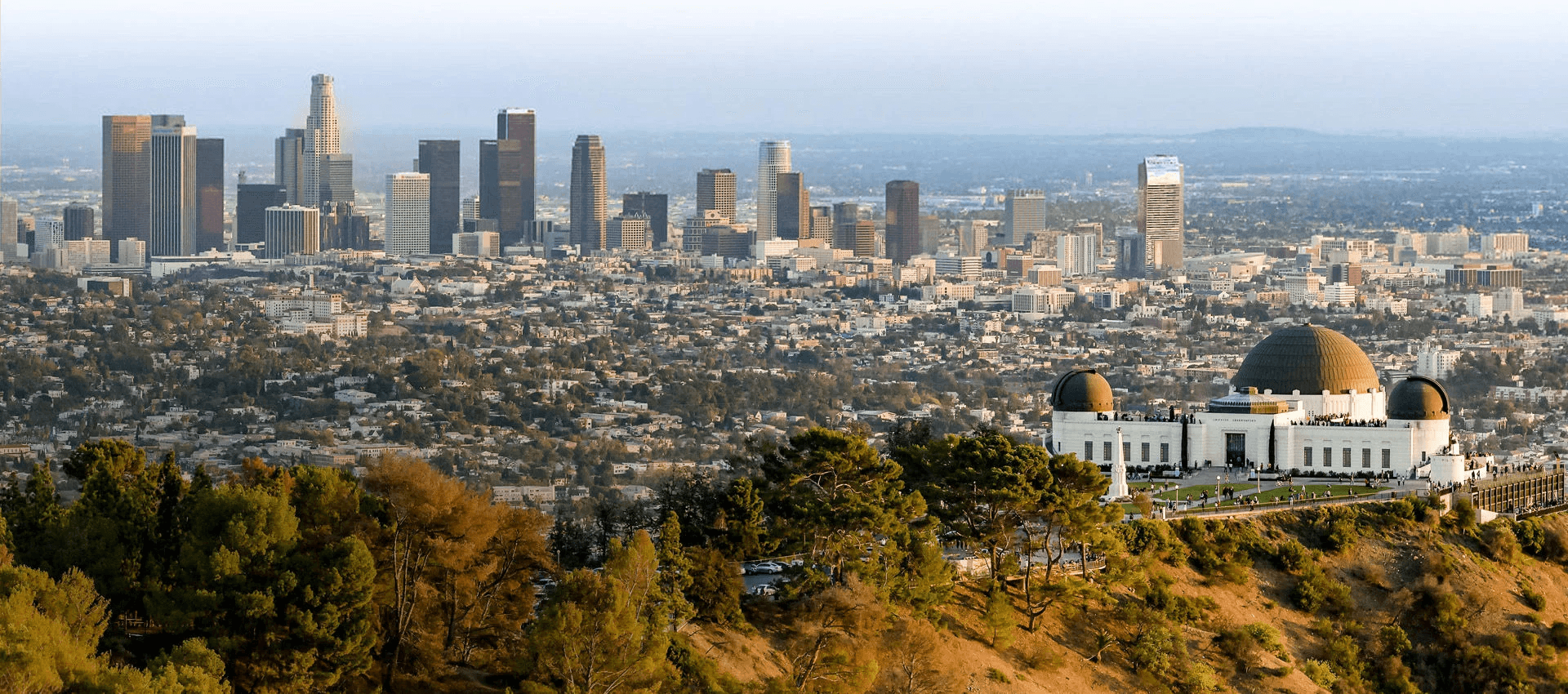 LA Skyline
